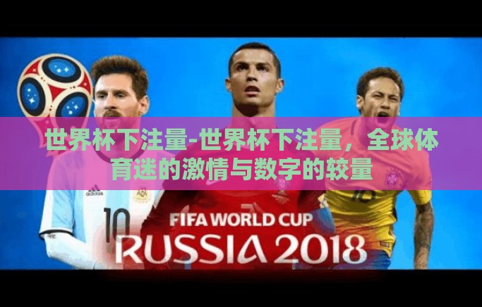 世界杯下注量-世界杯下注量，全球体育迷的激情与数字的较量