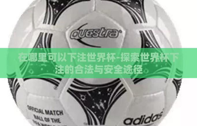 在哪里可以下注世界杯-探索世界杯下注的合法与安全途径 在哪里可以下注世界杯-探索世界杯下注的合法与安全途径
