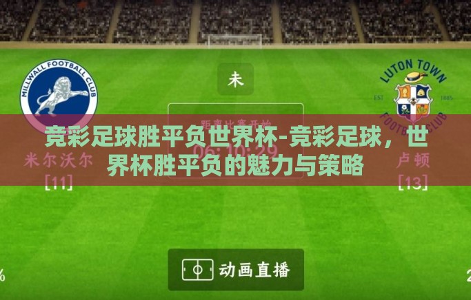 竞彩足球胜平负世界杯-竞彩足球，世界杯胜平负的魅力与策略