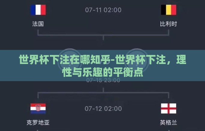 世界杯下注在哪知乎-世界杯下注，理性与乐趣的平衡点