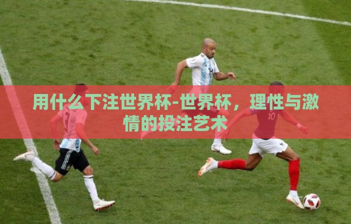 用什么下注世界杯-世界杯，理性与激情的投注艺术