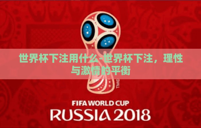世界杯下注用什么-世界杯下注,理性与激情的平衡 世界杯下注用什么-世界杯下注,理性与激情的平衡