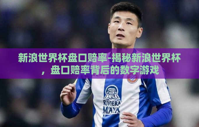 新浪世界杯盘口赔率-揭秘新浪世界杯，盘口赔率背后的数字游戏