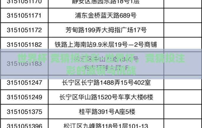 世界杯 竞猜投注彩-世界杯，竞猜投注彩的激情与挑战