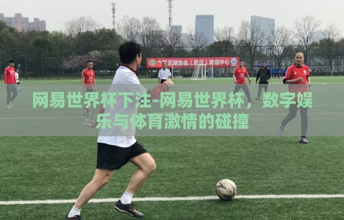 网易世界杯下注-网易世界杯，数字娱乐与体育激情的碰撞