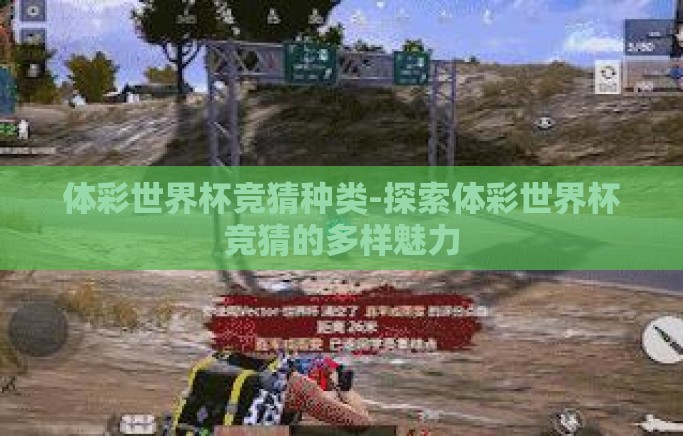 体彩世界杯竞猜种类-探索体彩世界杯竞猜的多样魅力