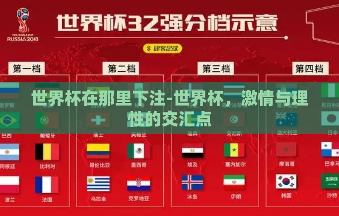 世界杯在那里下注-世界杯,激情与理性的交汇点 世界杯在那里下注-世界杯,激情与理性的交汇点