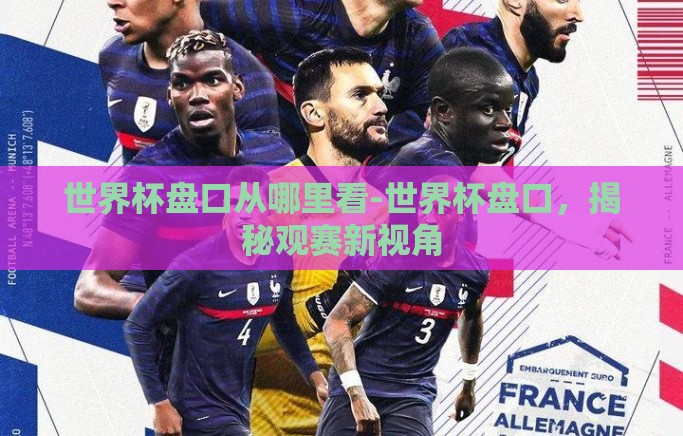 世界杯盘口从哪里看-世界杯盘口,揭秘观赛新视角 世界杯盘口从哪里看-世界杯盘口,揭秘观赛新视角