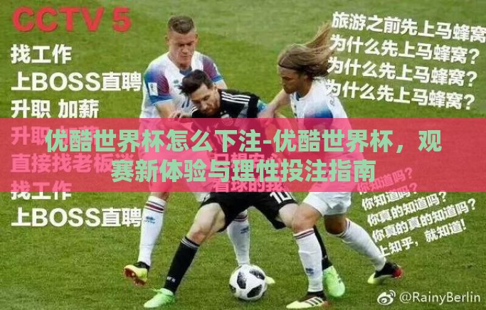 优酷世界杯怎么下注-优酷世界杯，观赛新体验与理性投注指南