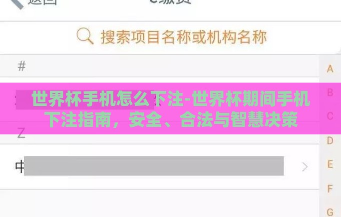 世界杯手机怎么下注-世界杯期间手机下注指南，安全、合法与智慧决策
