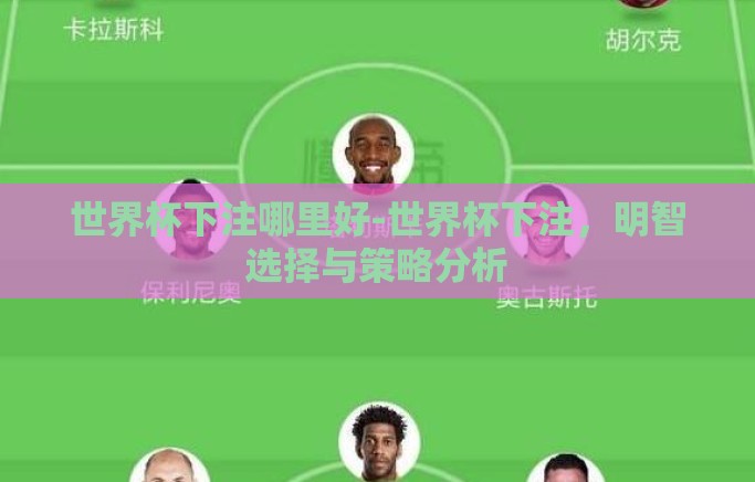 世界杯下注哪里好-世界杯下注，明智选择与策略分析