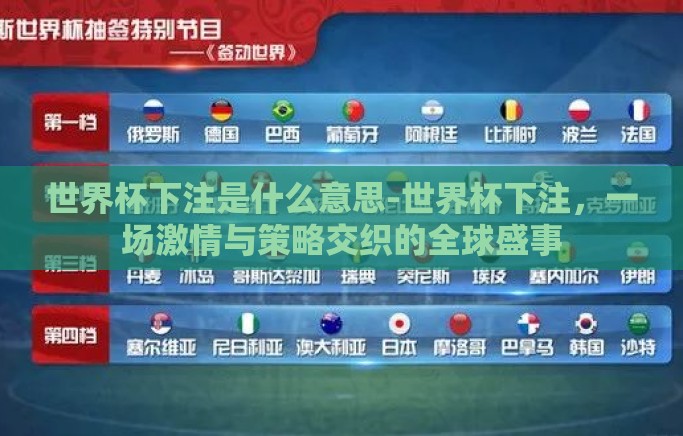 世界杯下注是什么意思-世界杯下注，一场激情与策略交织的全球盛事