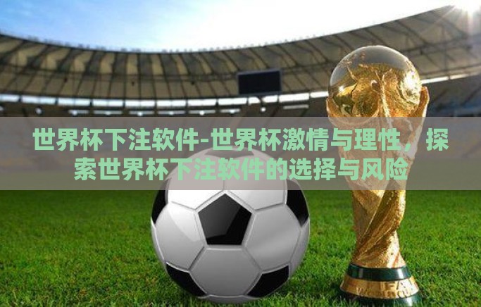世界杯下注软件-世界杯激情与理性，探索世界杯下注软件的选择与风险