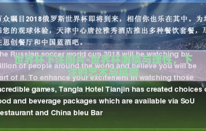 世界杯下注图片-世界杯激情与理性，下注的艺术与风险
