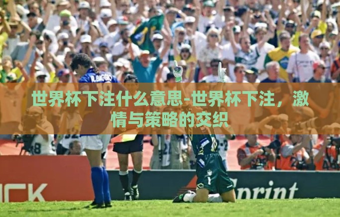 世界杯下注什么意思-世界杯下注，激情与策略的交织
