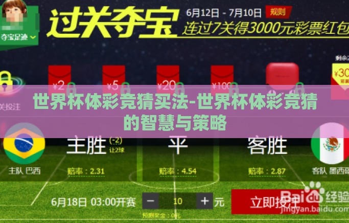 世界杯体彩竞猜买法-世界杯体彩竞猜的智慧与策略