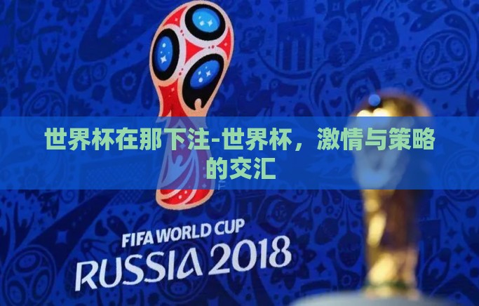 世界杯在那下注-世界杯，激情与策略的交汇