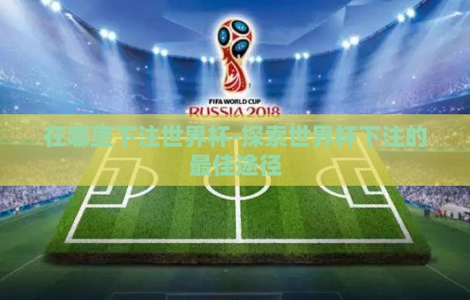 在哪里下注世界杯-探索世界杯下注的最佳途径