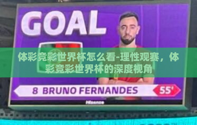体彩竞彩世界杯怎么看-理性观赛，体彩竞彩世界杯的深度视角