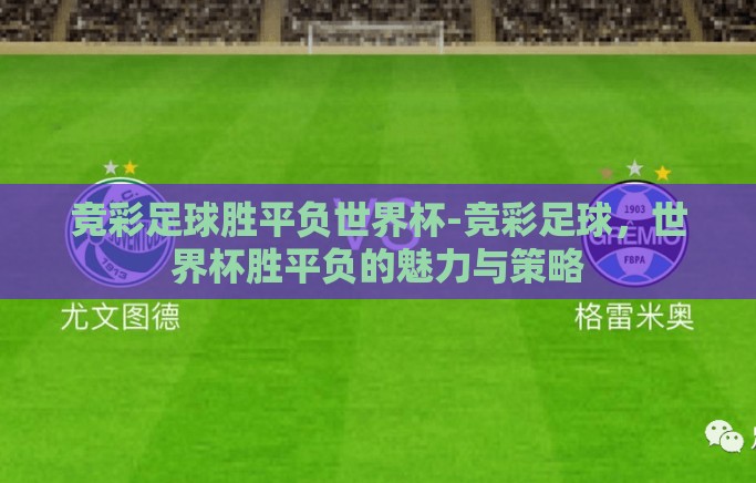 竞彩足球胜平负世界杯-竞彩足球，世界杯胜平负的魅力与策略