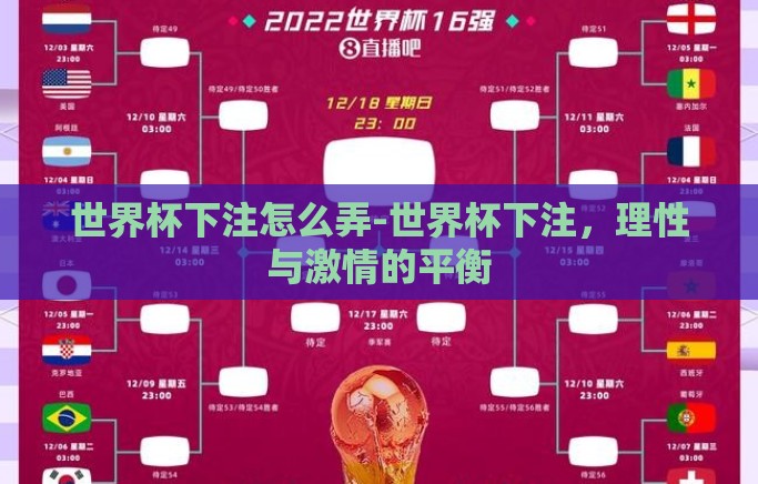 世界杯下注怎么弄-世界杯下注，理性与激情的平衡