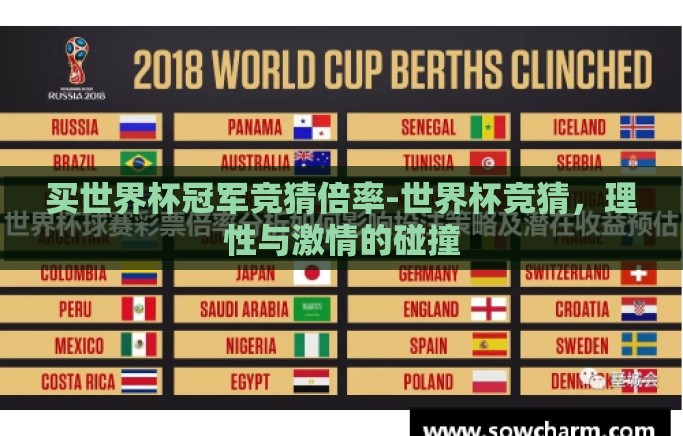 买世界杯冠军竞猜倍率-世界杯竞猜，理性与激情的碰撞