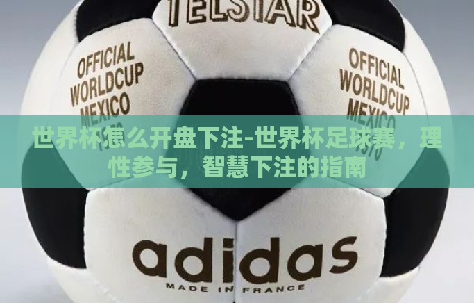世界杯怎么开盘下注-世界杯足球赛,理性参与,智慧下注的指南 世界杯怎么开盘下注-世界杯足球赛,理性参与,智慧下注的指南