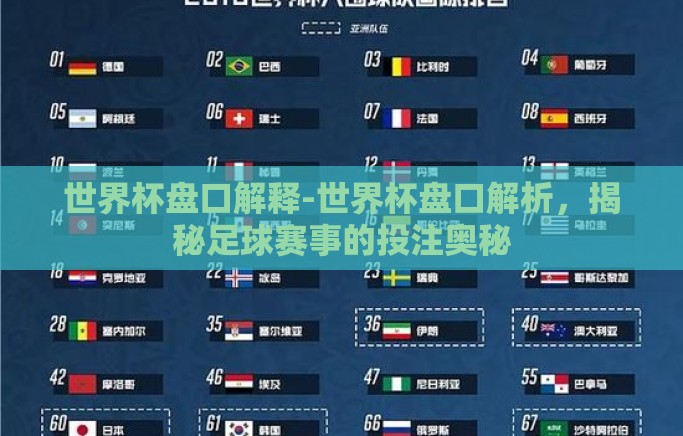 世界杯盘口解释-世界杯盘口解析，揭秘足球赛事的投注奥秘