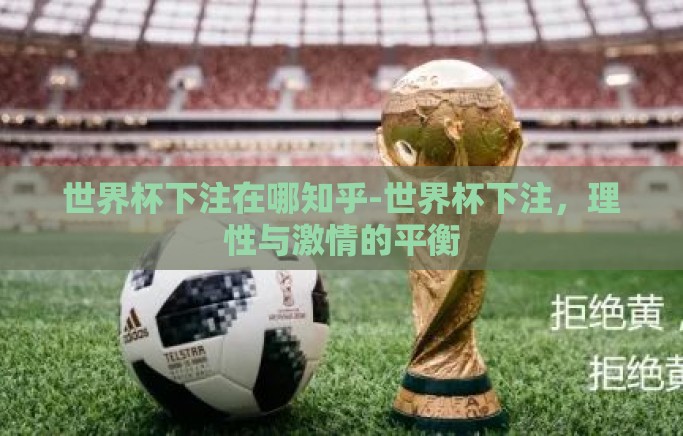 世界杯下注在哪知乎-世界杯下注，理性与激情的平衡