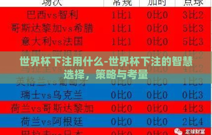 世界杯下注用什么-世界杯下注的智慧选择，策略与考量