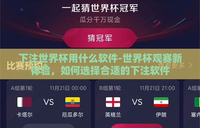 下注世界杯用什么软件-世界杯观赛新体验,如何选择合适的下注软件 下注世界杯用什么软件-世界杯观赛新体验,如何选择合适的下注软件